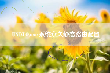 UNIXLO,unix系统永久静态路由配置