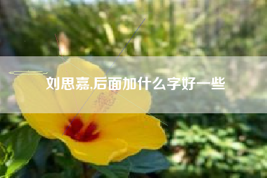 刘思嘉,后面加什么字好一些