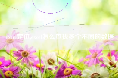 excel定位,excel怎么查找多个不同的数据