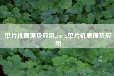单片机原理及应用,aurix单片机原理及应用