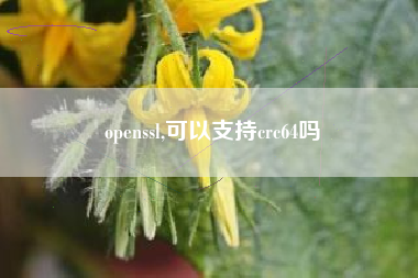 openssl,可以支持crc64吗