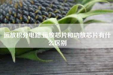 运放积分电路,运放芯片和功放芯片有什么区别