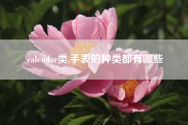 calendar类,手表的种类都有哪些