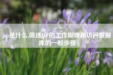 jsp是什么,简述JSP的工作原理和访问数据库的一般步骤