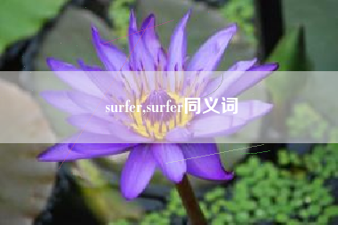 surfer,surfer同义词