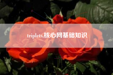 triplets,核心网基础知识