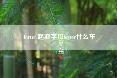 forter,起亚字母forter什么车