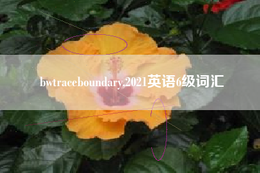 bwtraceboundary,2021英语6级词汇