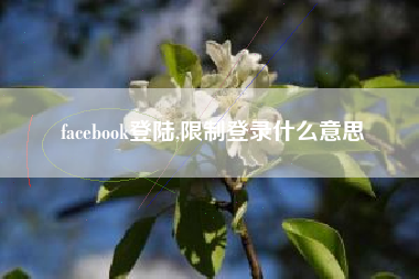 facebook登陆,限制登录什么意思