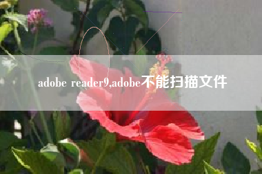 adobe reader9,adobe不能扫描文件