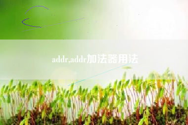 addr,addr加法器用法