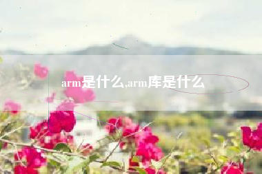 arm是什么,arm库是什么