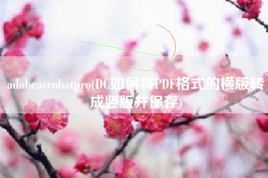 adobeacrobatpro(DC如何将PDF格式的横版转成竖版并保存)