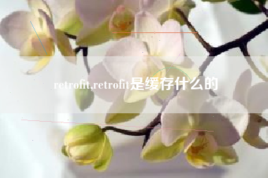 retrofit,retrofit是缓存什么的