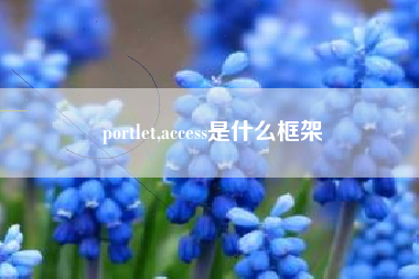 portlet,access是什么框架