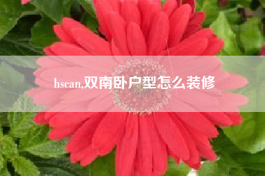 hscan,双南卧户型怎么装修