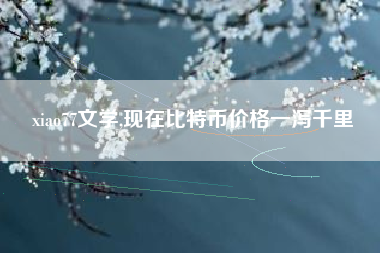 xiao77文学,现在比特币价格一泻千里