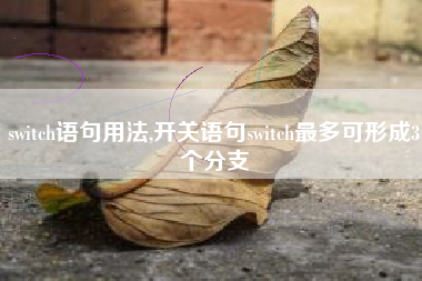 switch语句用法,开关语句switch最多可形成3个分支