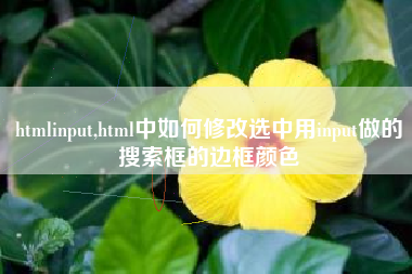 htmlinput,html中如何修改选中用input做的搜索框的边框颜色
