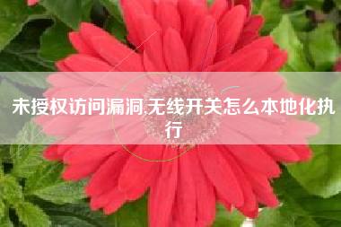 未授权访问漏洞,无线开关怎么本地化执行
