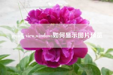 quick view,windows如何显示图片预览