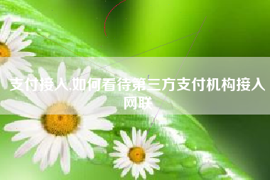 支付接入,如何看待第三方支付机构接入网联