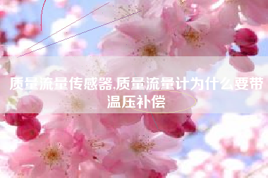 质量流量传感器,质量流量计为什么要带温压补偿