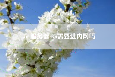 svn 服务器,svn需要进内网吗