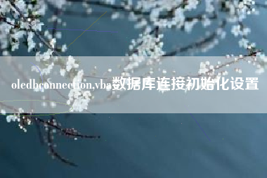 oledbconnection,vba数据库连接初始化设置
