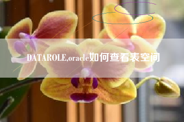 DATAROLE,oracle如何查看表空间