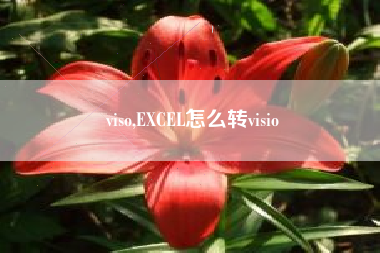viso,EXCEL怎么转visio