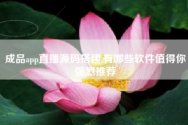 成品app直播源码搭建,有哪些软件值得你强烈推荐