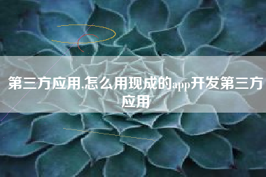 第三方应用,怎么用现成的app开发第三方应用