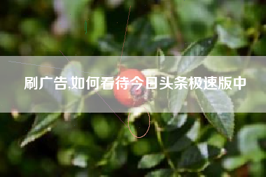 刷广告,如何看待今日头条极速版中
