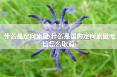 什么是定向流量(什么是国内定向流量电信怎么取消)