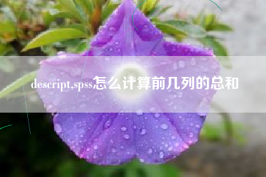 descript,spss怎么计算前几列的总和