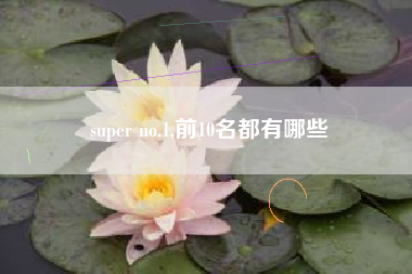 super no.1,前10名都有哪些