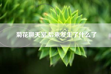 菊花聊天室,后来发生了什么了