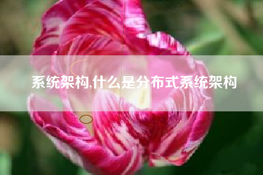 系统架构,什么是分布式系统架构