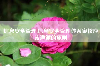 信息安全管理,信息安全管理体系审核应该遵循的原则