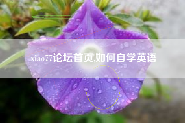 xiao77论坛首页,如何自学英语