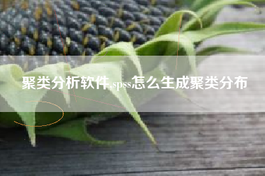聚类分析软件,spss怎么生成聚类分布