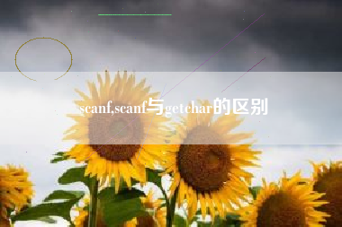 scanf,scanf与getchar的区别