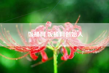 饭桶网,饭桶网创始人