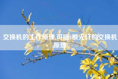 交换机的工作原理,可插4根光纤的交换机原理