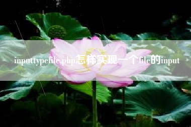 inputtypefile,php怎样实现一个file的input