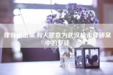 律师枪击案,有人愿意为武汉枪击律师案中的歹徒