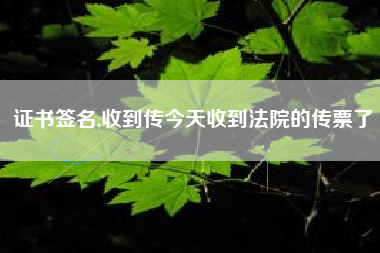 证书签名,收到传今天收到法院的传票了