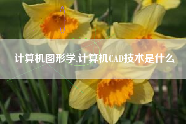 计算机图形学,计算机CAD技术是什么