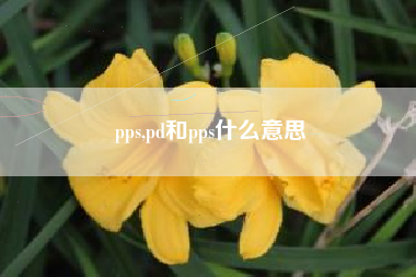pps,pd和pps什么意思